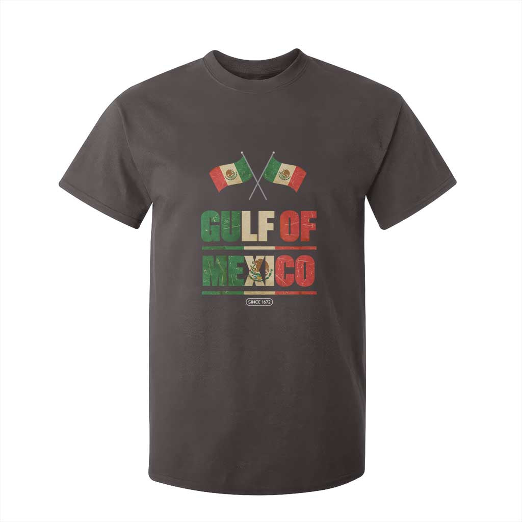 Gulf of Mexico Since 1672 T Shirt For Kid Mexican Flag TS10 Dark Chocolate Print Your Wear