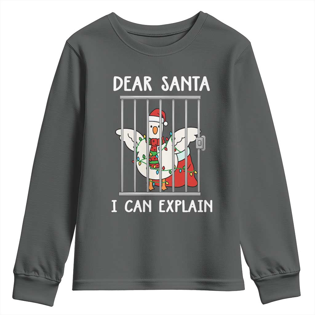 Funny Christmas Goose Youth Sweatshirt Dear Santa I Can Explain Xmas Meme TS10 Dark Heather Print Your Wear