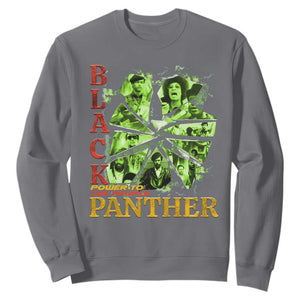 Vintage Black Panther Party Sweatshirt Newton Seale Shakur Black History Month Juneteenth TS10 Charcoal Print Your Wear