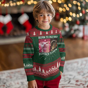 Meme Cat Knit Sweatshirt Born To Dilly Dally Forced To Lock In Funny Saying Cats TS10 Christmas Print Your Wear