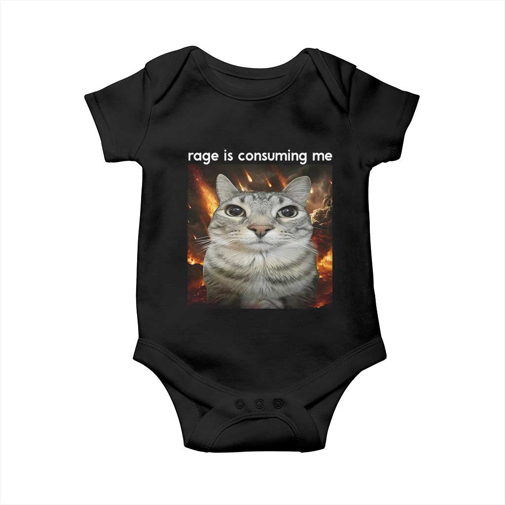 Rage Is Consuming Me Cat Baby Onesie Funny Weird Humor Silly Cat Meme TS10 Black Print Your Wear