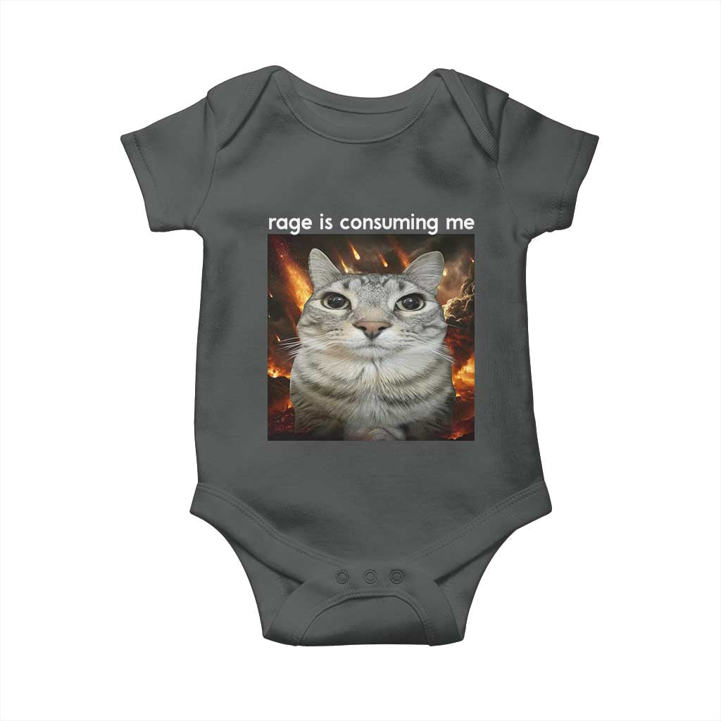 Rage Is Consuming Me Cat Baby Onesie Funny Weird Humor Silly Cat Meme TS10 Dark Heather Print Your Wear