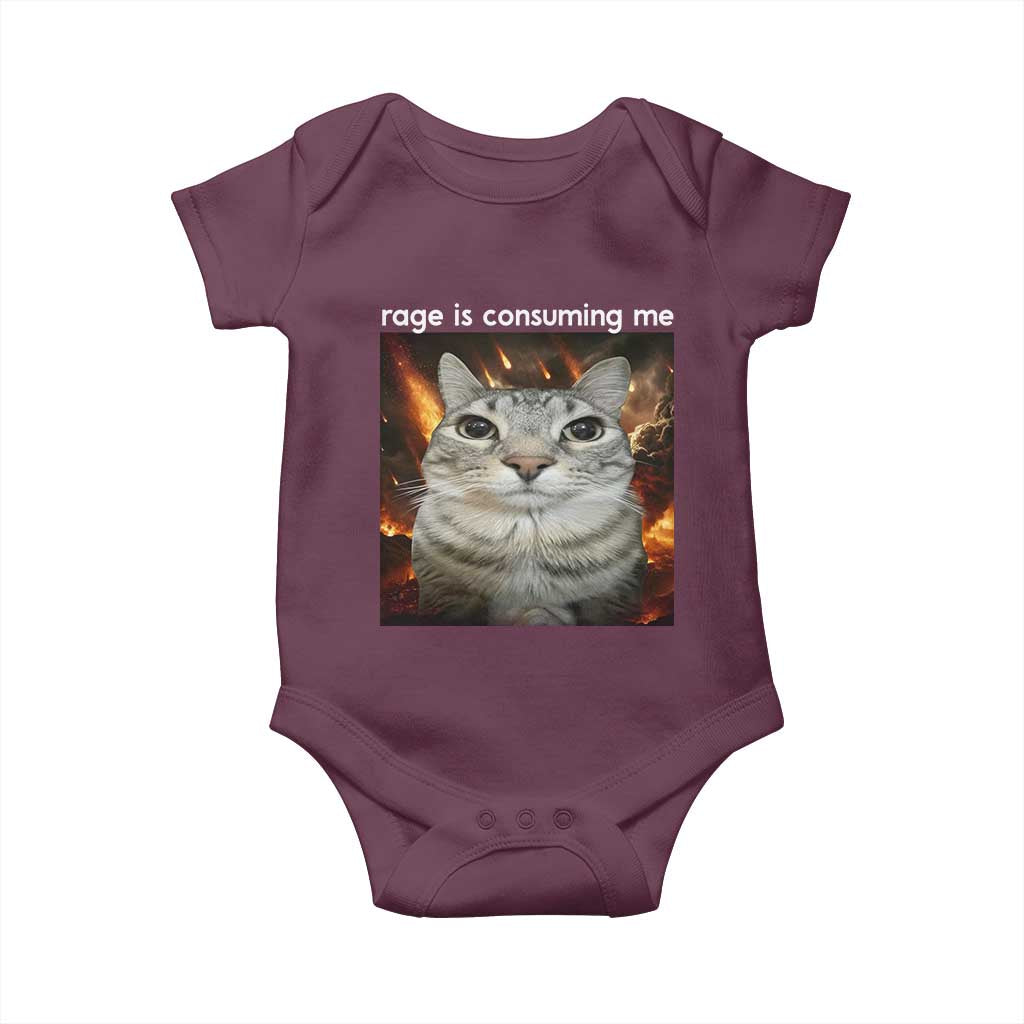Rage Is Consuming Me Cat Baby Onesie Funny Weird Humor Silly Cat Meme TS10 Maroon Print Your Wear