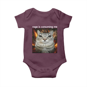 Rage Is Consuming Me Cat Baby Onesie Funny Weird Humor Silly Cat Meme TS10 Maroon Print Your Wear