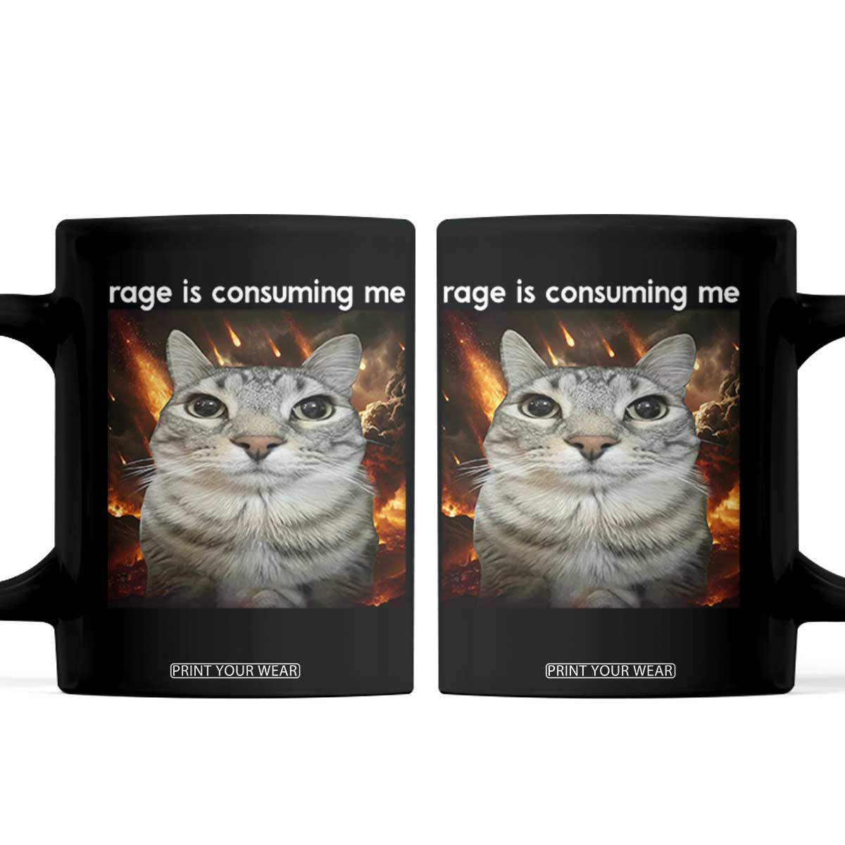 Rage Is Consuming Me Cat Coffee Mug Funny Weird Humor Silly Cat Meme TS10 Black Print Your Wear