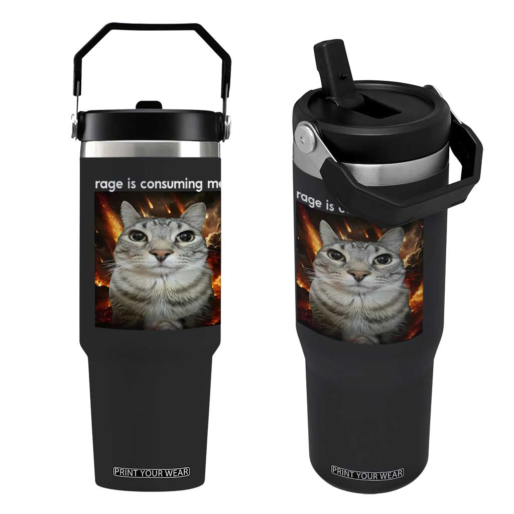 Rage Is Consuming Me Cat Flip Straw Tumbler Funny Weird Humor Silly Cat Meme TS10 One Size: 30 oz Black Print Your Wear