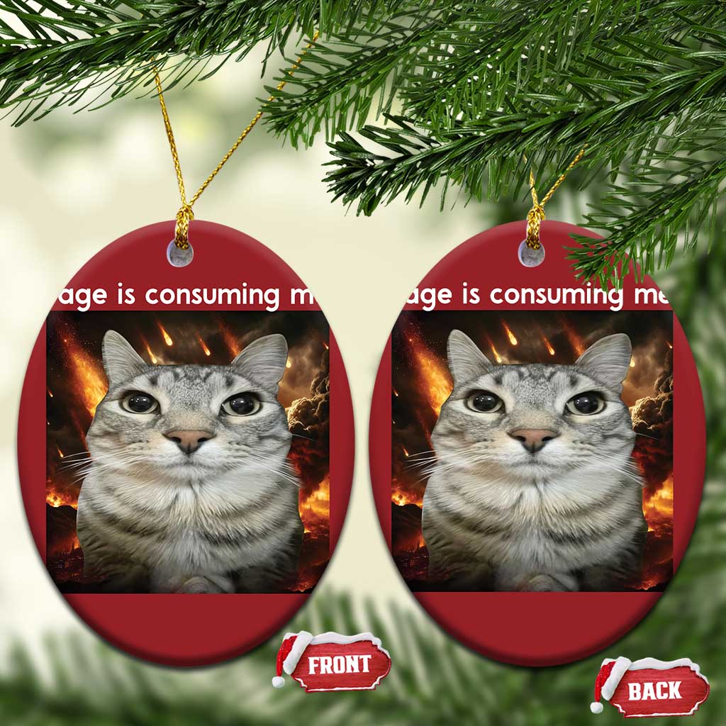 Rage Is Consuming Me Cat Christmas Ornament Funny Weird Humor Silly Cat Meme TS10 Oval Red Print Your Wear
