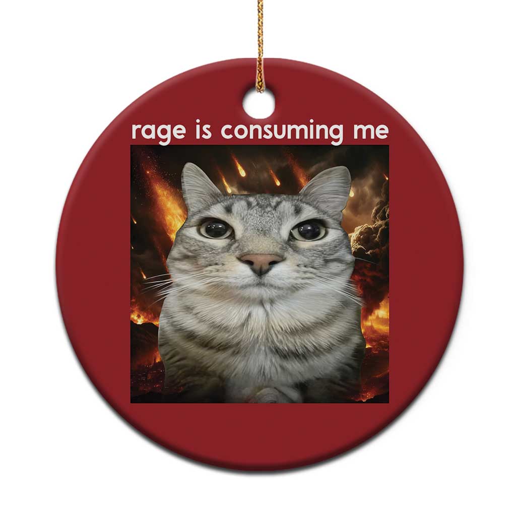 Rage Is Consuming Me Cat Christmas Ornament Funny Weird Humor Silly Cat Meme TS10 Print Your Wear