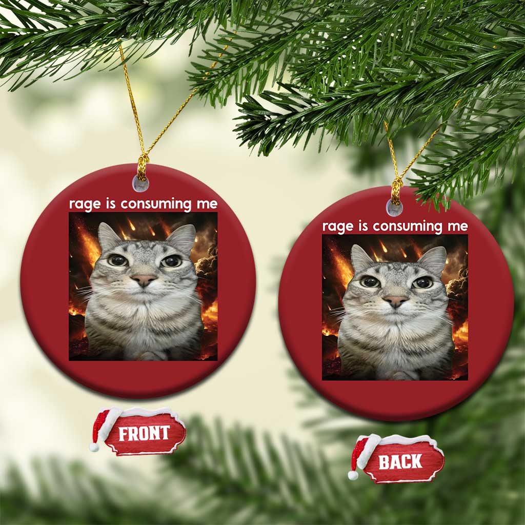 Rage Is Consuming Me Cat Christmas Ornament Funny Weird Humor Silly Cat Meme TS10 Circle Red Print Your Wear