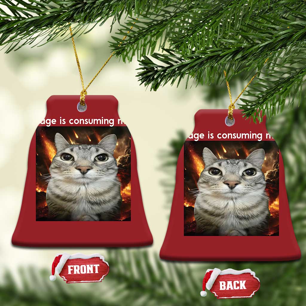Rage Is Consuming Me Cat Christmas Ornament Funny Weird Humor Silly Cat Meme TS10 Bell Flake Red Print Your Wear