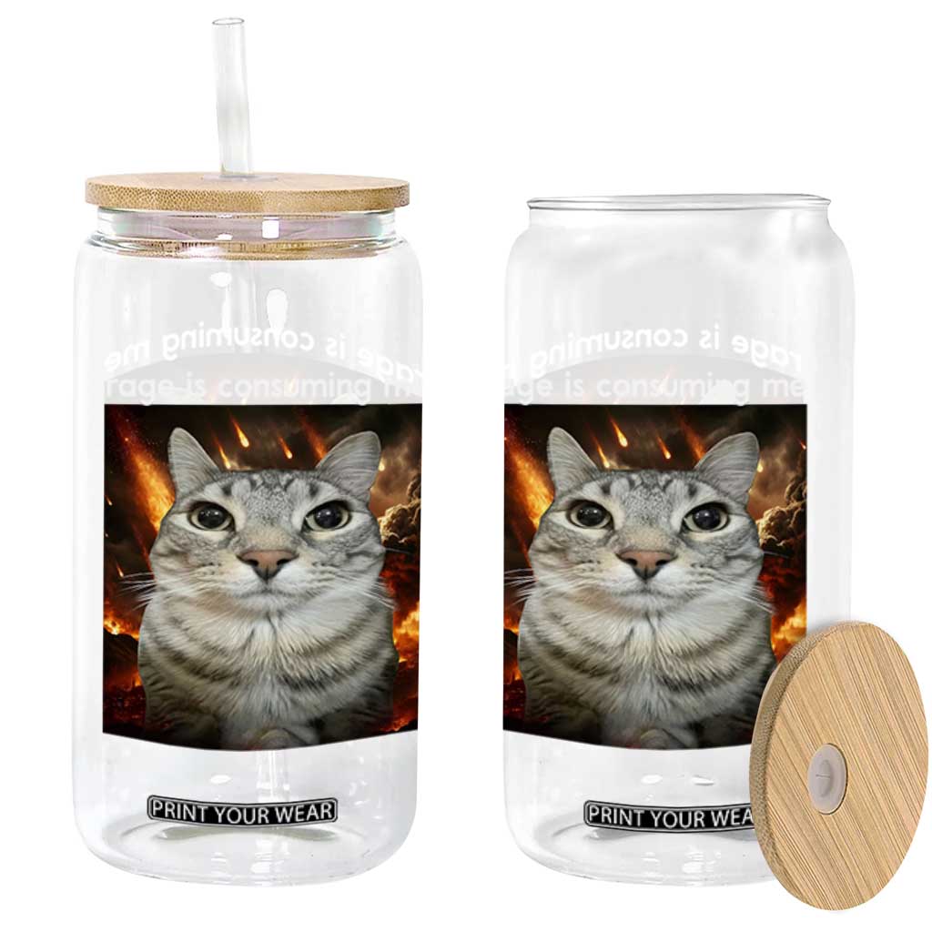 Rage Is Consuming Me Cat Glass Can Funny Weird Humor Silly Cat Meme TS10 Print Your Wear