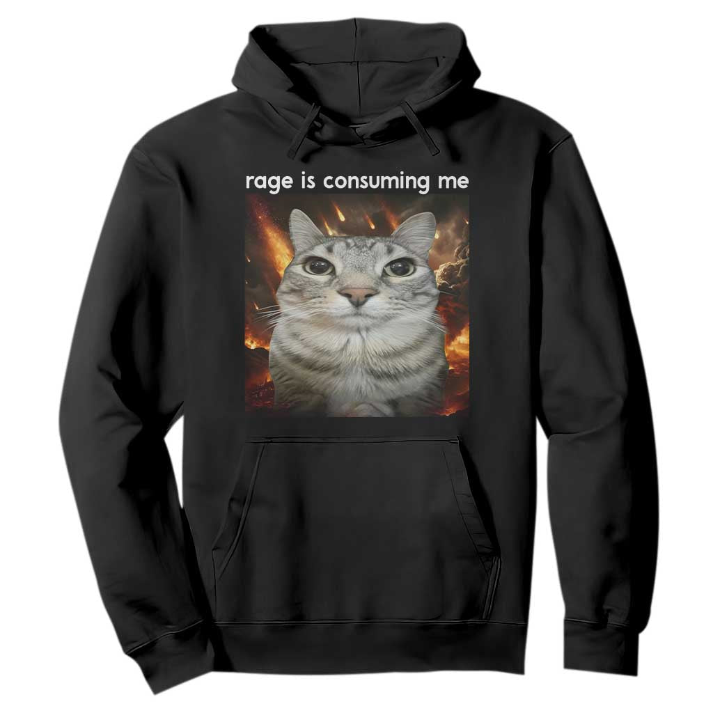 Rage Is Consuming Me Cat Hoodie Funny Weird Humor Silly Cat Meme TS10 Black Print Your Wear