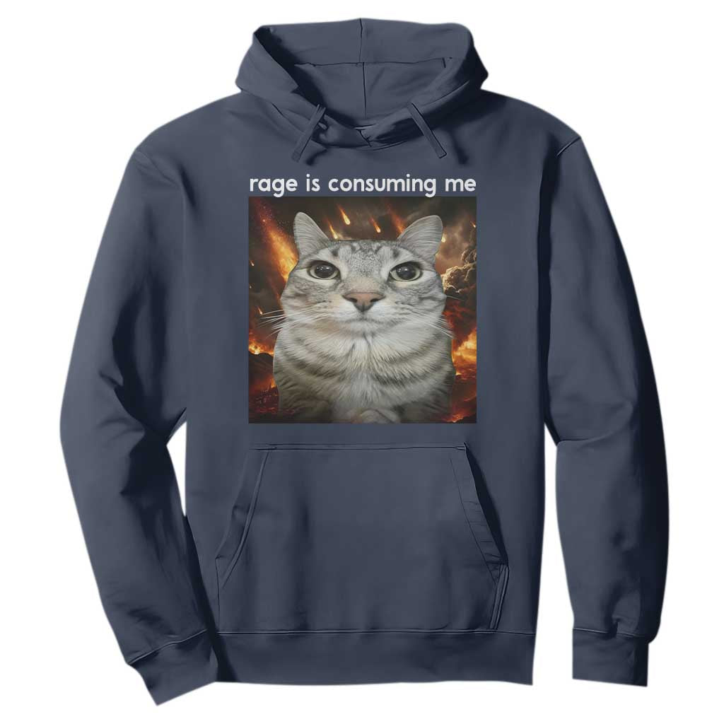Rage Is Consuming Me Cat Hoodie Funny Weird Humor Silly Cat Meme TS10 Navy Print Your Wear