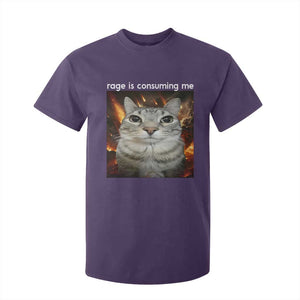 Rage Is Consuming Me Cat T Shirt For Kid Funny Weird Humor Silly Cat Meme TS10 Purple Print Your Wear