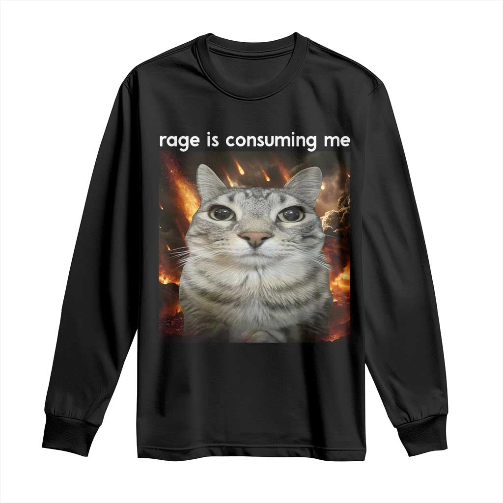 Rage Is Consuming Me Cat Long Sleeve Shirt Funny Weird Humor Silly Cat Meme TS10 Black Print Your Wear