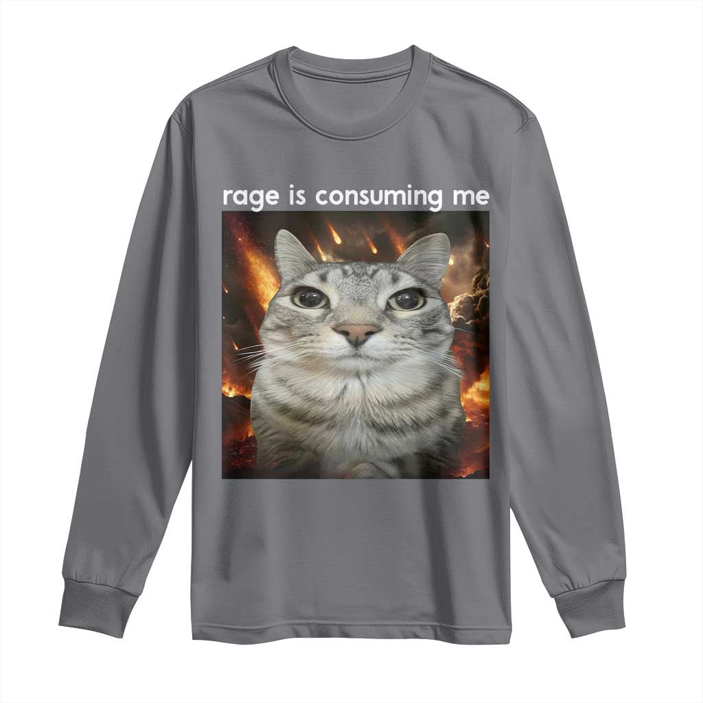 Rage Is Consuming Me Cat Long Sleeve Shirt Funny Weird Humor Silly Cat Meme TS10 Charcoal Print Your Wear