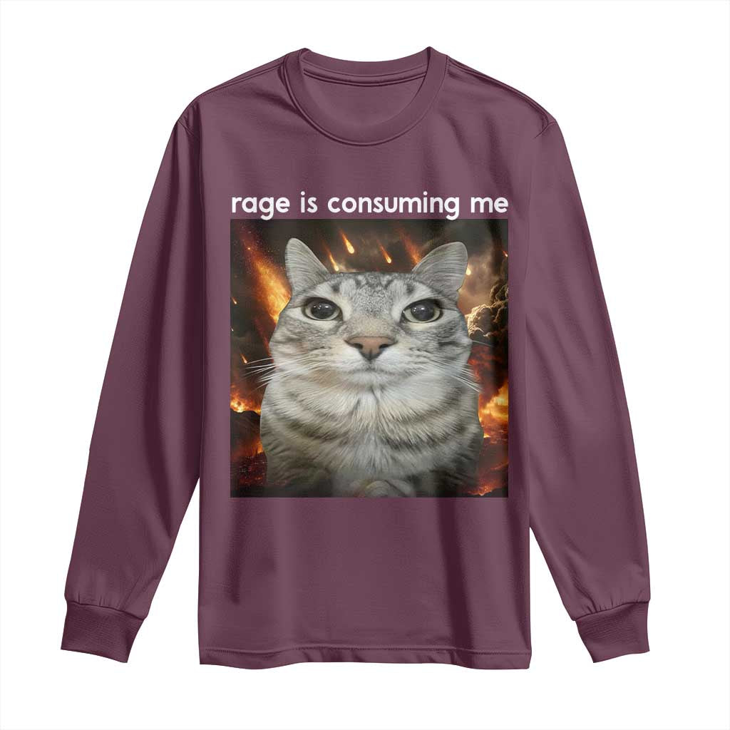 Rage Is Consuming Me Cat Long Sleeve Shirt Funny Weird Humor Silly Cat Meme TS10 Maroon Print Your Wear