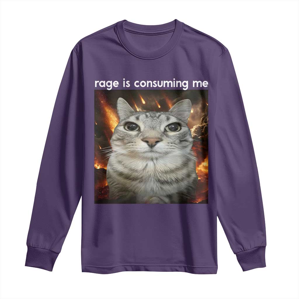 Rage Is Consuming Me Cat Long Sleeve Shirt Funny Weird Humor Silly Cat Meme TS10 Purple Print Your Wear