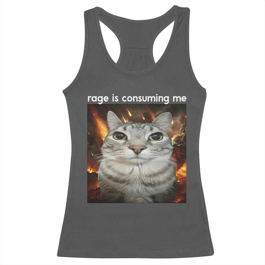 Rage Is Consuming Me Cat Racerback Tank Top Funny Weird Humor Silly Cat Meme TS10 Dark Heather Print Your Wear