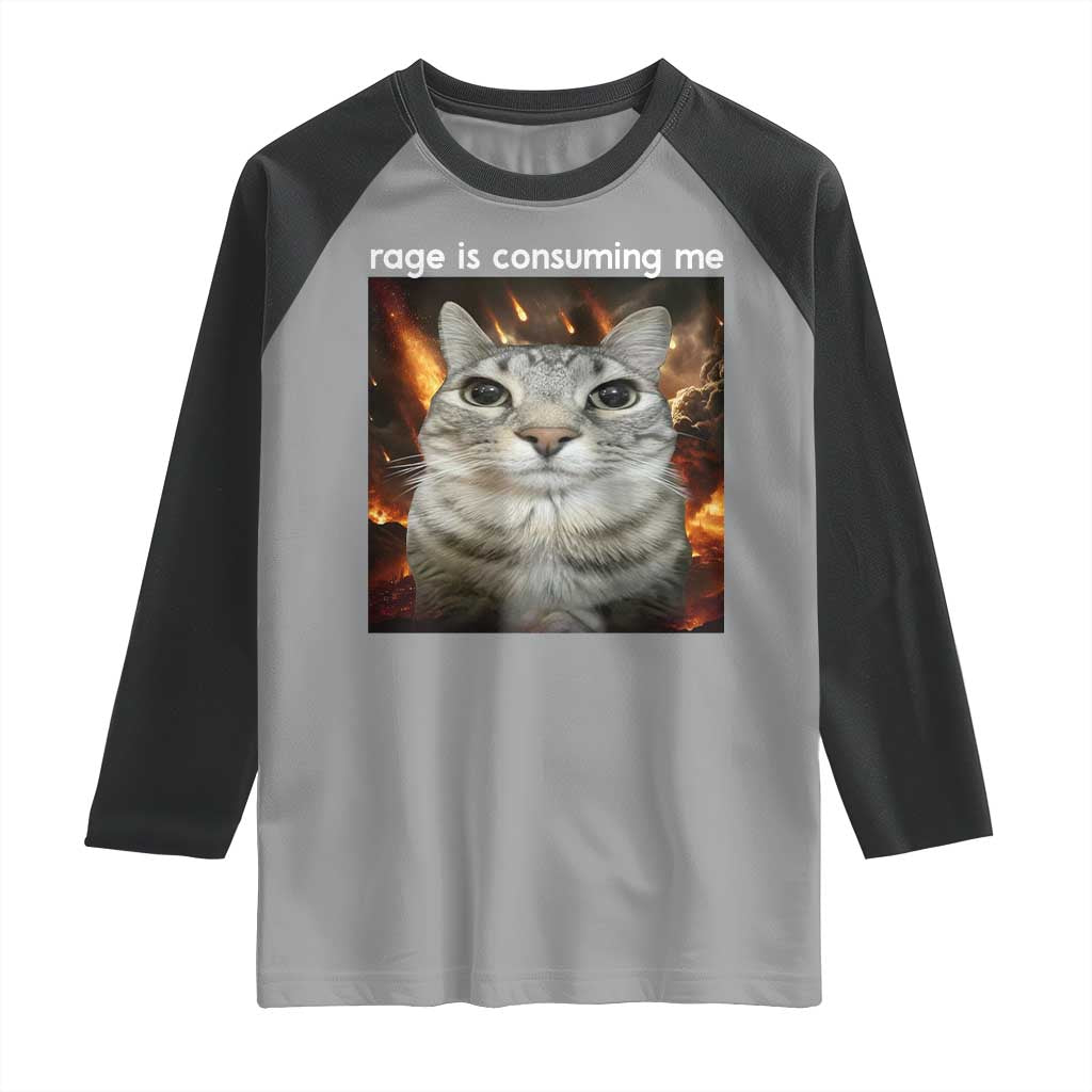 Rage Is Consuming Me Cat Raglan Shirt Funny Weird Humor Silly Cat Meme TS10 Sport Gray Black Print Your Wear