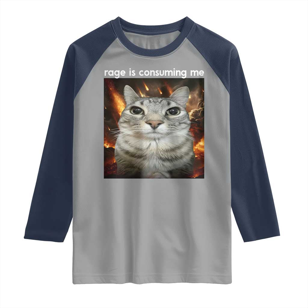 Rage Is Consuming Me Cat Raglan Shirt Funny Weird Humor Silly Cat Meme TS10 Sport Gray Navy Print Your Wear
