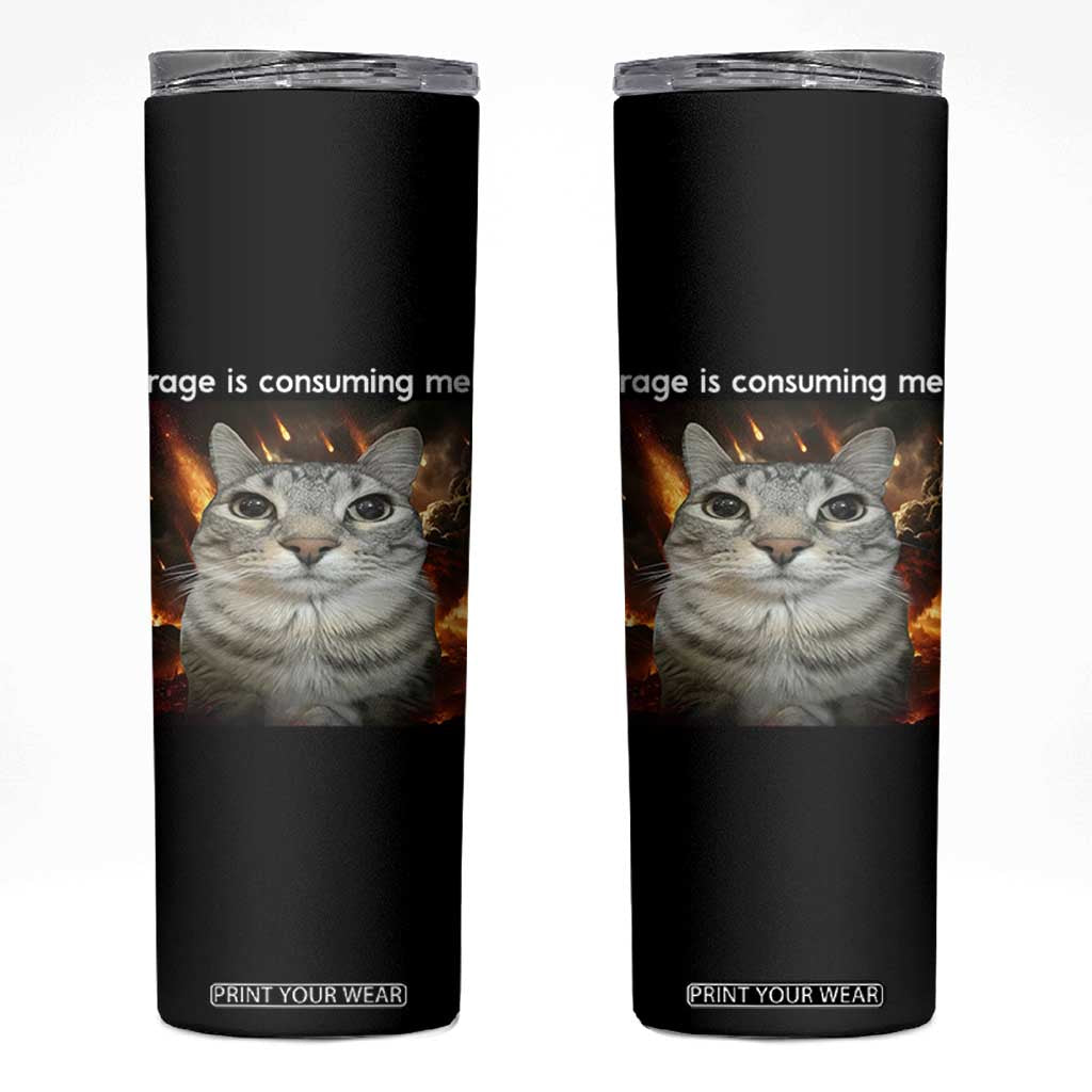 Rage Is Consuming Me Cat Skinny Tumbler Funny Weird Humor Silly Cat Meme TS10 Black Print Your Wear
