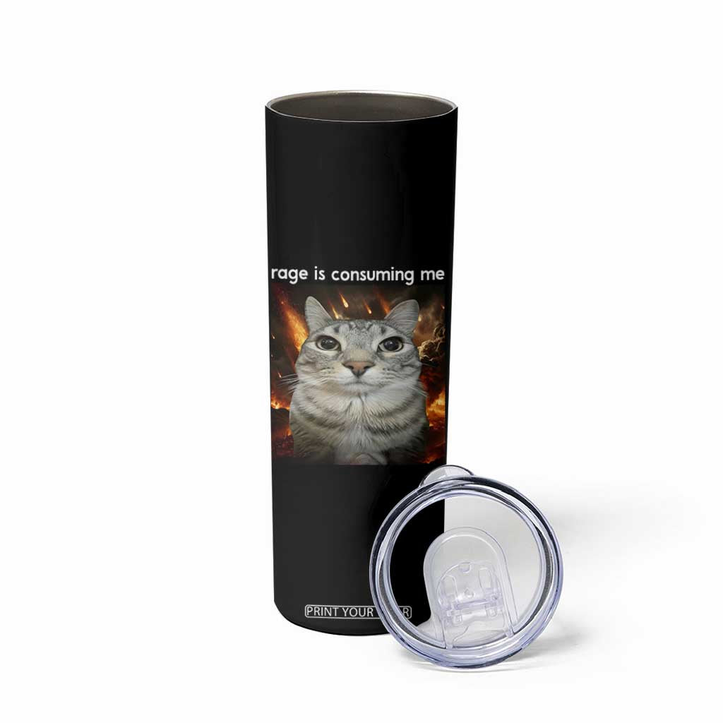 Rage Is Consuming Me Cat Skinny Tumbler Funny Weird Humor Silly Cat Meme TS10 Print Your Wear