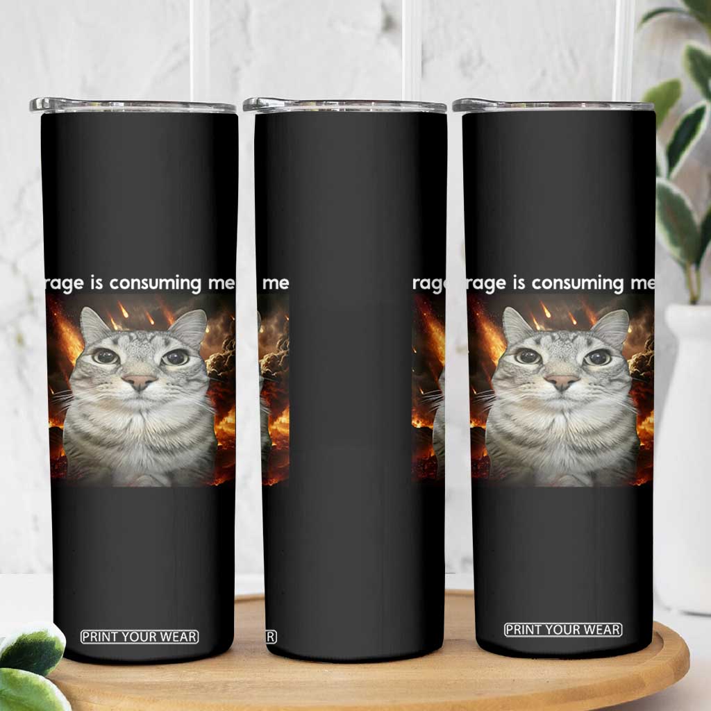 Rage Is Consuming Me Cat Skinny Tumbler Funny Weird Humor Silly Cat Meme TS10 Print Your Wear