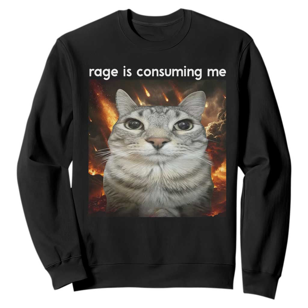 Rage Is Consuming Me Cat Sweatshirt Funny Weird Humor Silly Cat Meme TS10 Black Print Your Wear