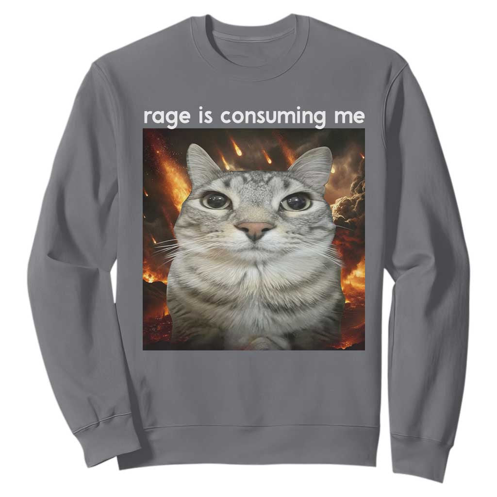 Rage Is Consuming Me Cat Sweatshirt Funny Weird Humor Silly Cat Meme TS10 Charcoal Print Your Wear