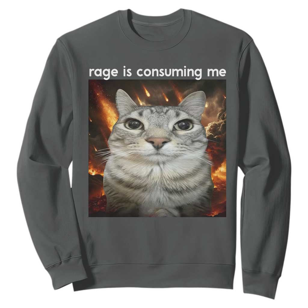 Rage Is Consuming Me Cat Sweatshirt Funny Weird Humor Silly Cat Meme TS10 Dark Heather Print Your Wear