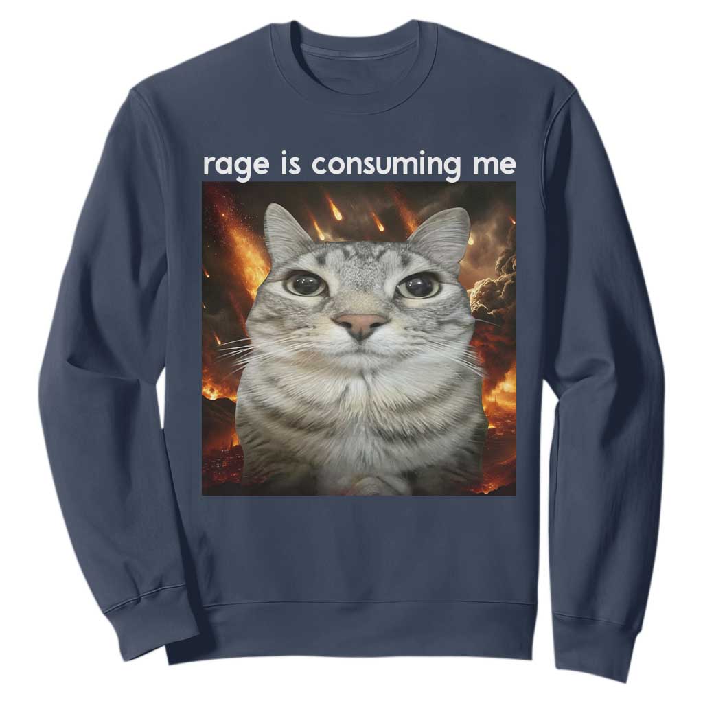Rage Is Consuming Me Cat Sweatshirt Funny Weird Humor Silly Cat Meme TS10 Navy Print Your Wear
