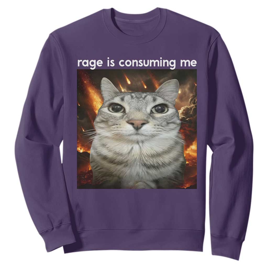 Rage Is Consuming Me Cat Sweatshirt Funny Weird Humor Silly Cat Meme TS10 Purple Print Your Wear