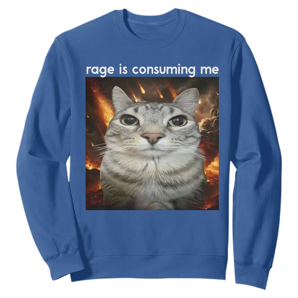 Rage Is Consuming Me Cat Sweatshirt Funny Weird Humor Silly Cat Meme TS10 Royal Blue Print Your Wear