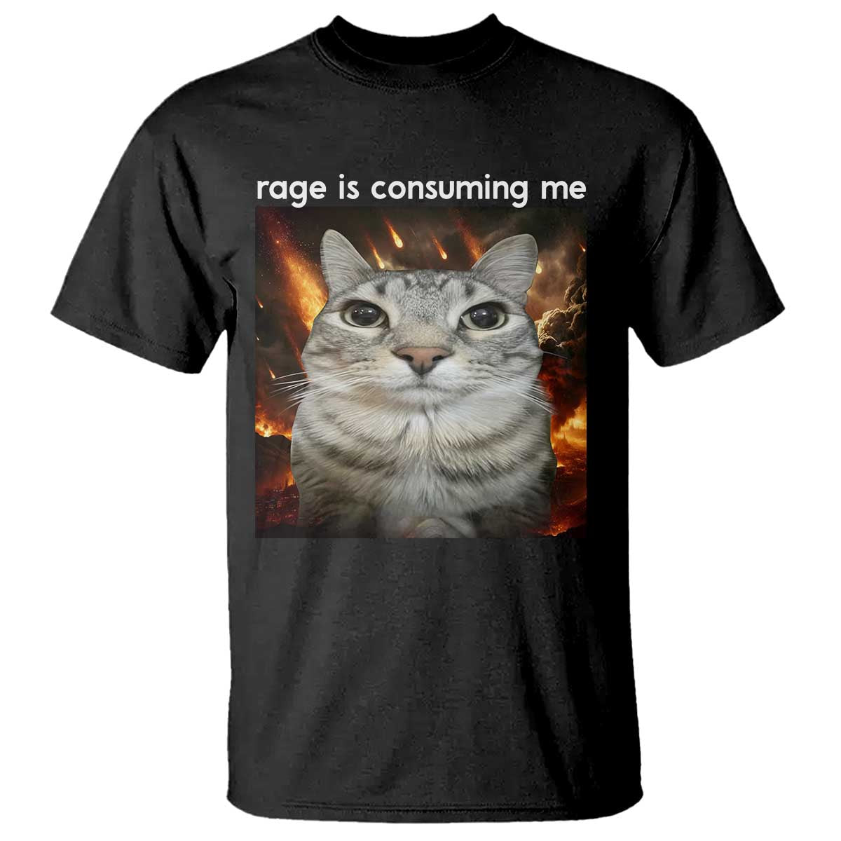 Rage Is Consuming Me Cat T Shirt Funny Weird Humor Silly Cat Meme TS10 Black Print Your Wear