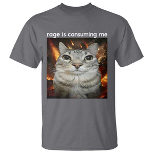 Rage Is Consuming Me Cat T Shirt Funny Weird Humor Silly Cat Meme TS10 Charcoal Print Your Wear