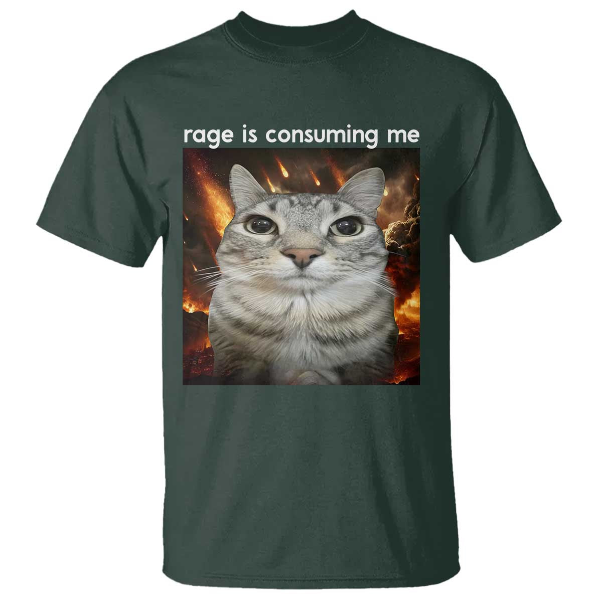 Rage Is Consuming Me Cat T Shirt Funny Weird Humor Silly Cat Meme TS10 Dark Forest Green Print Your Wear