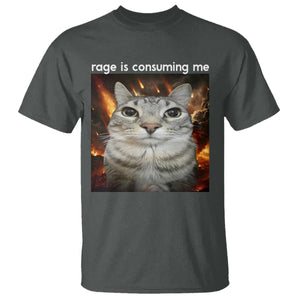 Rage Is Consuming Me Cat T Shirt Funny Weird Humor Silly Cat Meme TS10 Dark Heather Print Your Wear