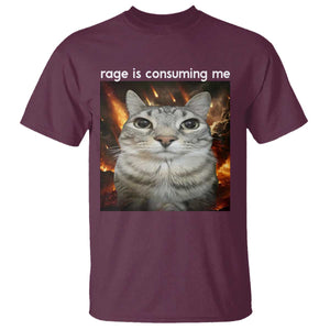 Rage Is Consuming Me Cat T Shirt Funny Weird Humor Silly Cat Meme TS10 Maroon Print Your Wear