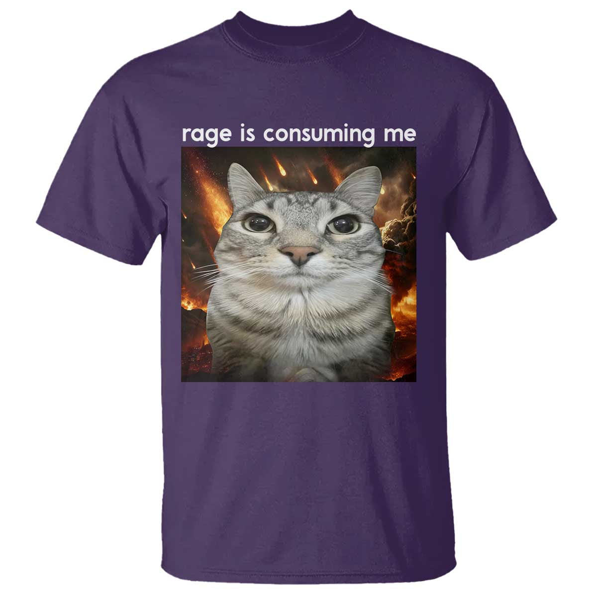 Rage Is Consuming Me Cat T Shirt Funny Weird Humor Silly Cat Meme TS10 Purple Print Your Wear