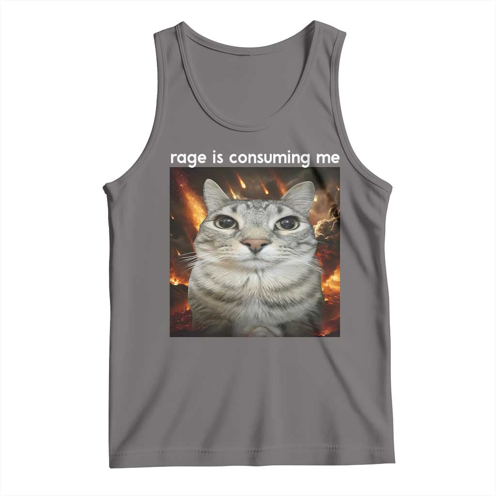 Rage Is Consuming Me Cat Tank Top Funny Weird Humor Silly Cat Meme TS10 Deep Heather Print Your Wear