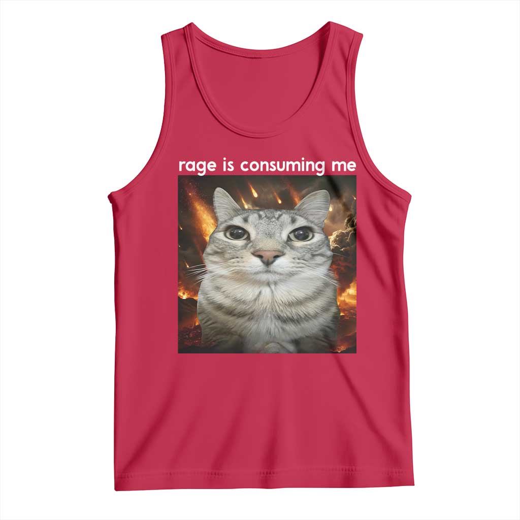 Rage Is Consuming Me Cat Tank Top Funny Weird Humor Silly Cat Meme TS10 Red Print Your Wear
