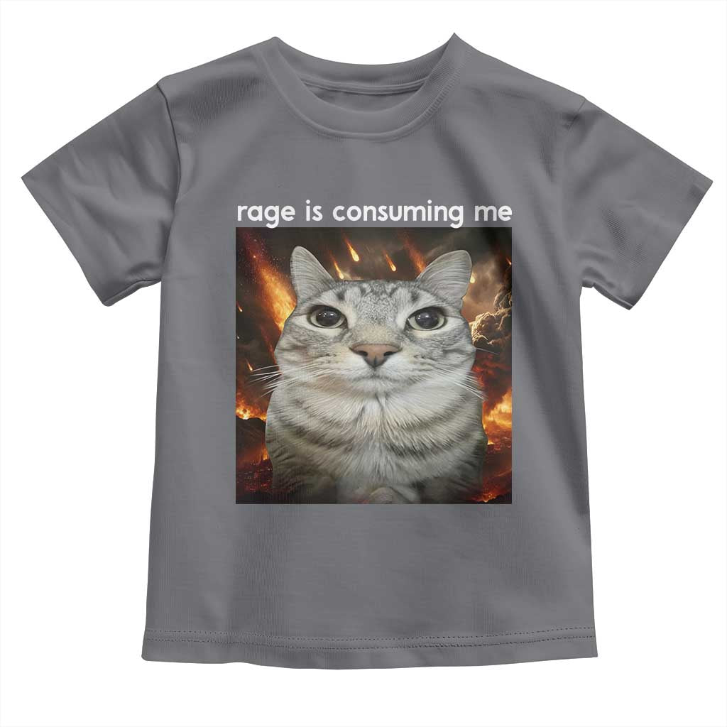 Rage Is Consuming Me Cat Toddler T Shirt Funny Weird Humor Silly Cat Meme TS10 Charcoal Print Your Wear