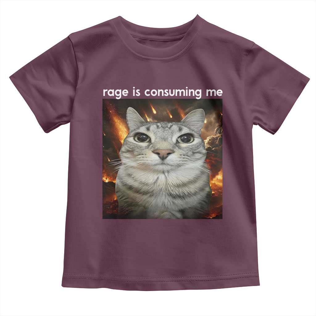 Rage Is Consuming Me Cat Toddler T Shirt Funny Weird Humor Silly Cat Meme TS10 Maroon Print Your Wear