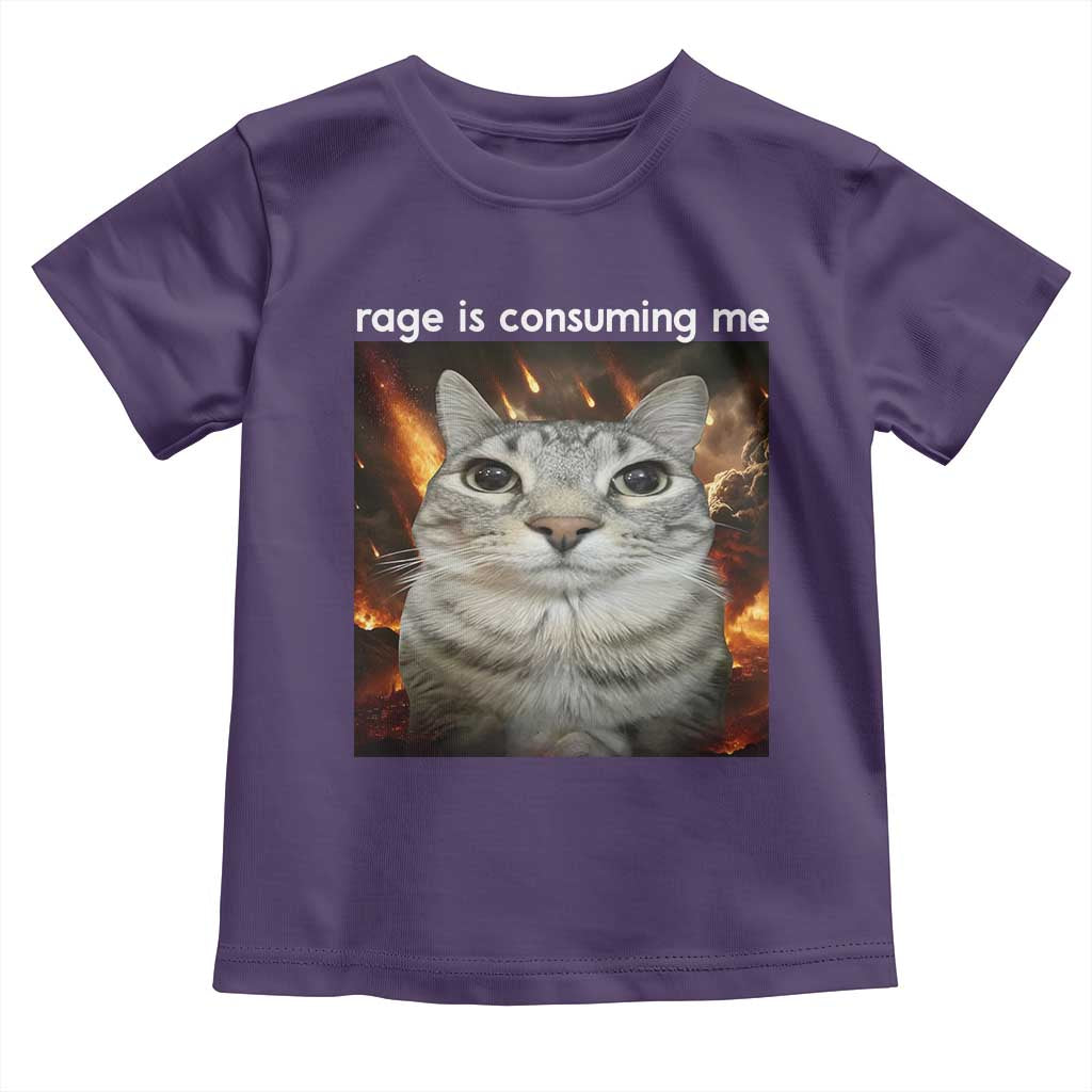 Rage Is Consuming Me Cat Toddler T Shirt Funny Weird Humor Silly Cat Meme TS10 Purple Print Your Wear