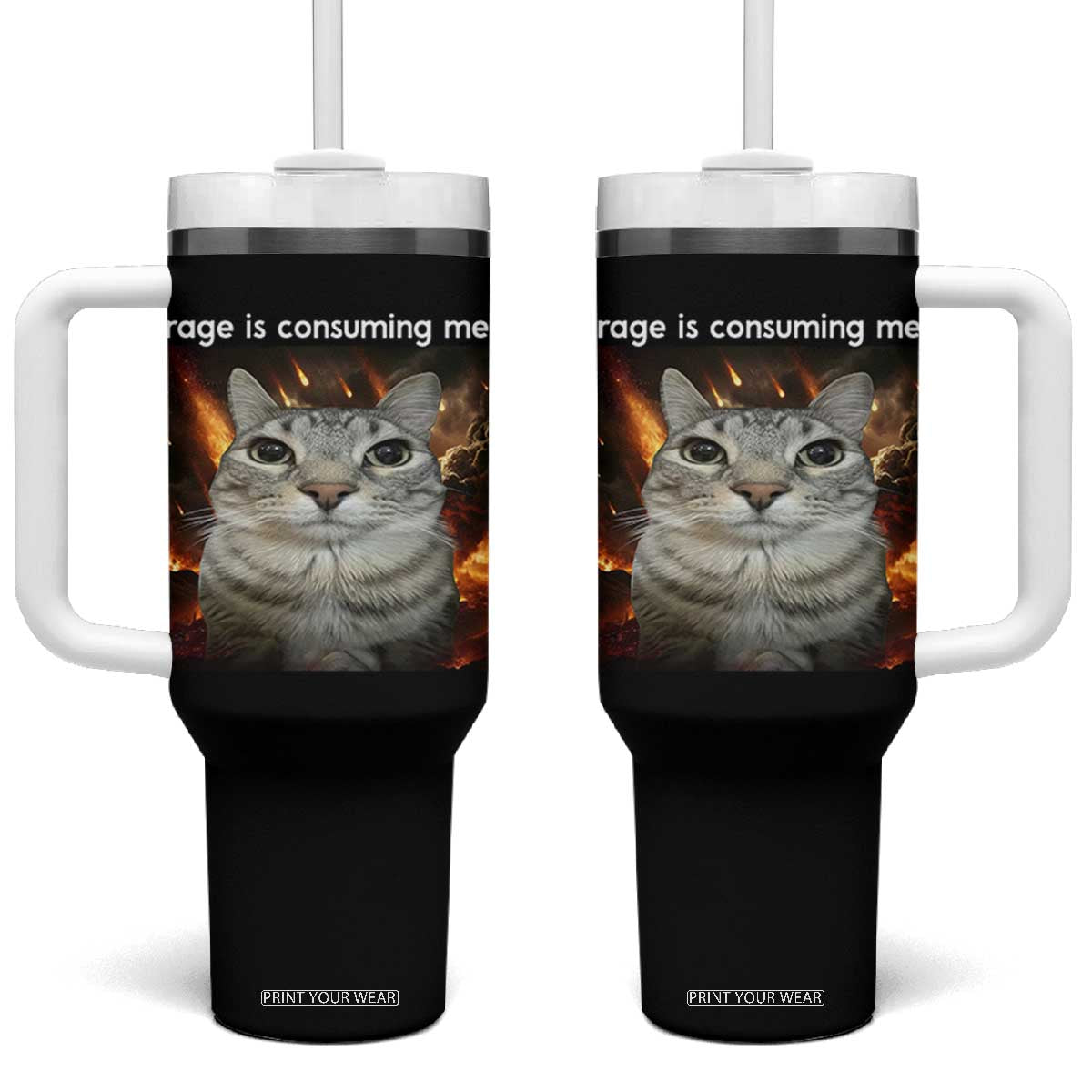 Rage Is Consuming Me Cat Tumbler With Handle Funny Weird Humor Silly Cat Meme - Print Your Wear