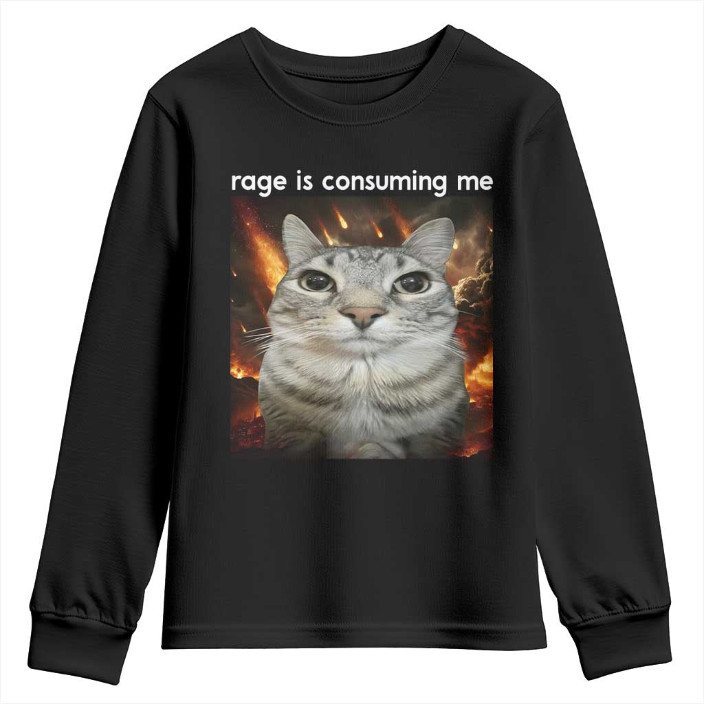 Rage Is Consuming Me Cat Youth Sweatshirt Funny Weird Humor Silly Cat Meme TS10 Black Print Your Wear