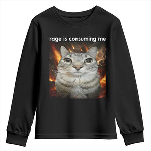 Rage Is Consuming Me Cat Youth Sweatshirt Funny Weird Humor Silly Cat Meme TS10 Black Print Your Wear