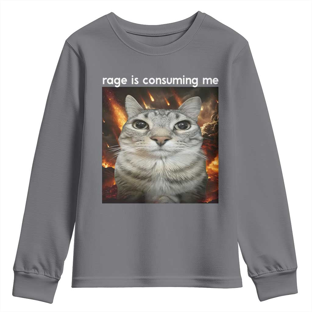 Rage Is Consuming Me Cat Youth Sweatshirt Funny Weird Humor Silly Cat Meme TS10 Charcoal Print Your Wear