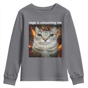 Rage Is Consuming Me Cat Youth Sweatshirt Funny Weird Humor Silly Cat Meme TS10 Charcoal Print Your Wear